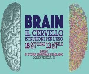 "BRAIN: il cervello. scuola privata