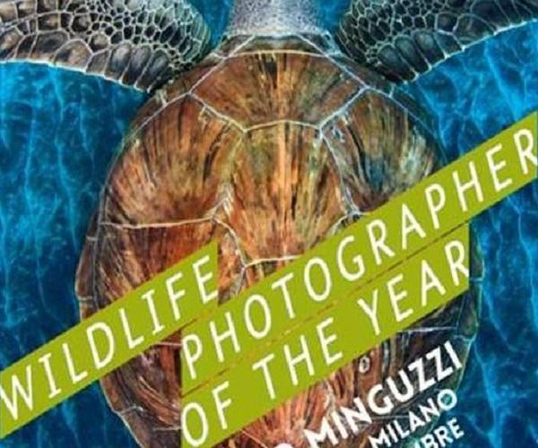 Wildlife Photographer of The Year