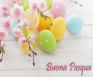 AUGURI DI BUONA PASQUA - SCUOLA FREUD