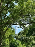 VIAGGIO STUDI STATI UNITI – NEW YORK, BOSTON, WASHINGTON DC