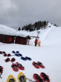 GITA SULLA NEVE VAL VIGEZZO 15/01/2020