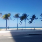 VIAGGIO STUDI A.S. 2017-2018 FT. LAUDERDALE - FLORIDA - #PARTESECONDA