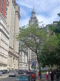 VIAGGIO STUDI STATI UNITI – NEW YORK, BOSTON, WASHINGTON DC