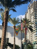 VIAGGIO STUDI A.S. 2018-2019 FT. LAUDERDALE FLORIDA - #PARTETERZA