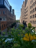 VIAGGIO STUDI STATI UNITI – NEW YORK, BOSTON, WASHINGTON DC