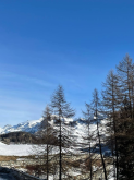 PROGETTO FREUD SULLA NEVE - SETTIMANA BIANCA CLASSI 2