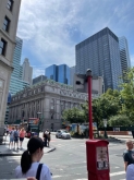 VIAGGIO STUDI STATI UNITI – NEW YORK, BOSTON, WASHINGTON DC