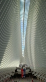 VIAGGIO STUDI STATI UNITI – NEW YORK, BOSTON, WASHINGTON DC
