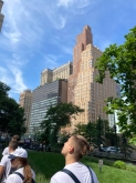 VIAGGIO STUDI STATI UNITI – NEW YORK, BOSTON, WASHINGTON DC