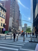 VIAGGIO STUDI STATI UNITI – NEW YORK, BOSTON, WASHINGTON DC