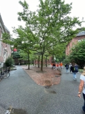 VIAGGIO STUDI STATI UNITI – NEW YORK, BOSTON, WASHINGTON DC