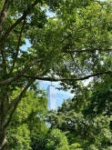 VIAGGIO STUDI STATI UNITI – NEW YORK, BOSTON, WASHINGTON DC