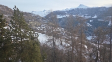 PROGETTO FREUD SULLA NEVE CLASSI QUINTE