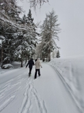 PROGETTO FREUD SULLA NEVE CLASSI QUINTE