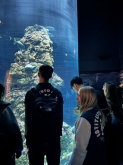 USCITA DIDATTICA A GENOVA – VISITA DELL’ACQUARIO