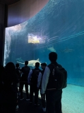 USCITA DIDATTICA A GENOVA – VISITA DELL’ACQUARIO