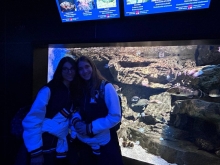 USCITA DIDATTICA A GENOVA – VISITA DELL’ACQUARIO