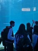 USCITA DIDATTICA A GENOVA – VISITA DELL’ACQUARIO