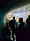 USCITA DIDATTICA A GENOVA – VISITA DELL’ACQUARIO