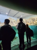 USCITA DIDATTICA A GENOVA – VISITA DELL’ACQUARIO