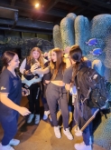 USCITA DIDATTICA A GENOVA – VISITA DELL’ACQUARIO