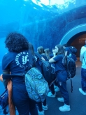 USCITA DIDATTICA A GENOVA – VISITA DELL’ACQUARIO