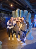 USCITA DIDATTICA A GENOVA – VISITA DELL’ACQUARIO