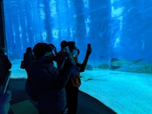 album-uscita-didattica-acquario-genova