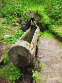 PROGETTO FREUD “NATURA E BENESSERE IN MONTAGNA A TORGNON”