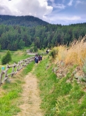 PROGETTO FREUD “NATURA E BENESSERE IN MONTAGNA A TORGNON”