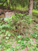 PROGETTO FREUD “NATURA E BENESSERE IN MONTAGNA A TORGNON”