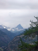 PROGETTO FREUD “NATURA E BENESSERE IN MONTAGNA A TORGNON”