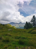 PROGETTO FREUD “NATURA E BENESSERE IN MONTAGNA A TORGNON”