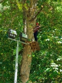 PROGETTO FREUD “NATURA E BENESSERE IN MONTAGNA A TORGNON”