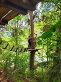 PROGETTO FREUD “NATURA E BENESSERE IN MONTAGNA A TORGNON”
