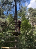 PROGETTO FREUD “NATURA E BENESSERE IN MONTAGNA A TORGNON”