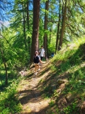 PROGETTO FREUD “NATURA E BENESSERE IN MONTAGNA A TORGNON”