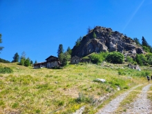 PROGETTO FREUD “NATURA E BENESSERE IN MONTAGNA A TORGNON”