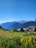 PROGETTO FREUD “NATURA E BENESSERE IN MONTAGNA A TORGNON”