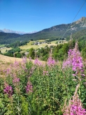 PROGETTO FREUD “NATURA E BENESSERE IN MONTAGNA A TORGNON”