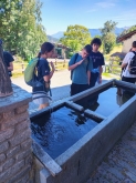 PROGETTO FREUD “NATURA E BENESSERE IN MONTAGNA A TORGNON”