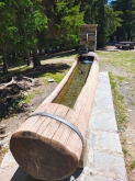 PROGETTO FREUD “NATURA E BENESSERE IN MONTAGNA A TORGNON”