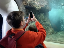 album-uscita-didattica-acquario-genova