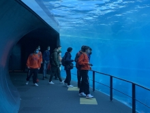 album-uscita-didattica-acquario-genova