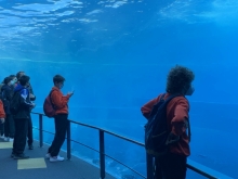 album-uscita-didattica-acquario-genova