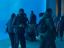 album-uscita-didattica-acquario-genova