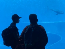 album-uscita-didattica-acquario-genova