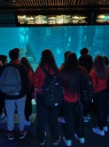 USCITA DIDATTICA: ACQUARIO DI GENOVA CLASSI PRIME