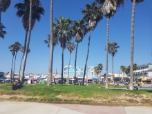 VIAGGIO STUDI NEGLI STATI UNITI – LOS ANGELES, LAS VEGAS E GRAND CANYON