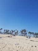 VIAGGIO STUDI NEGLI STATI UNITI – LOS ANGELES, LAS VEGAS E GRAND CANYON